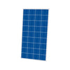 Cinco 50W 36 Cell Poly Solar Panel Off-Grid - [The Power Store]